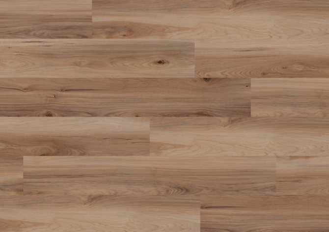 Ter Hürne LVT Nashville