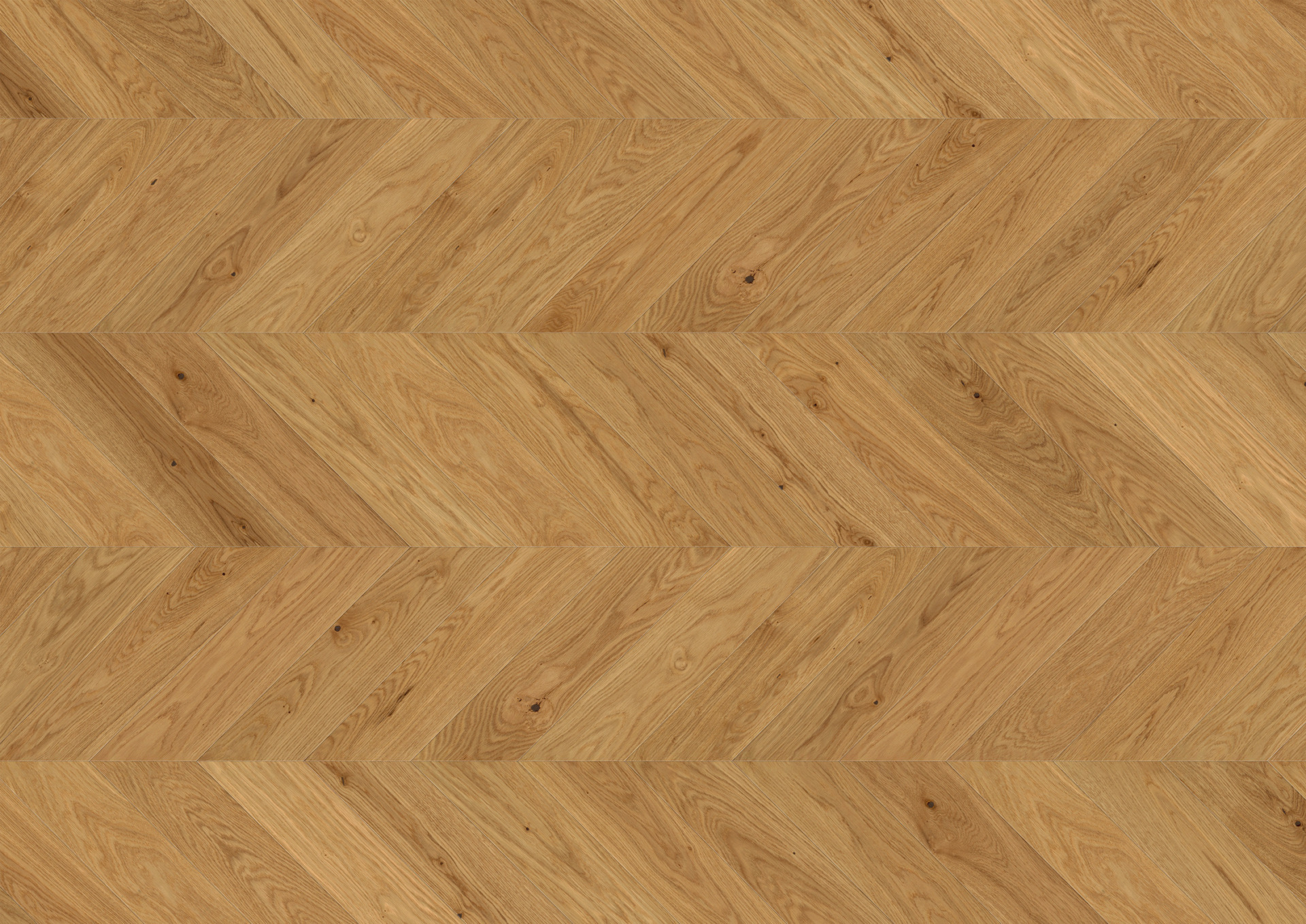 Ter Hürne prantsuse kalasabaparkett Chevron õlitatud harjatud