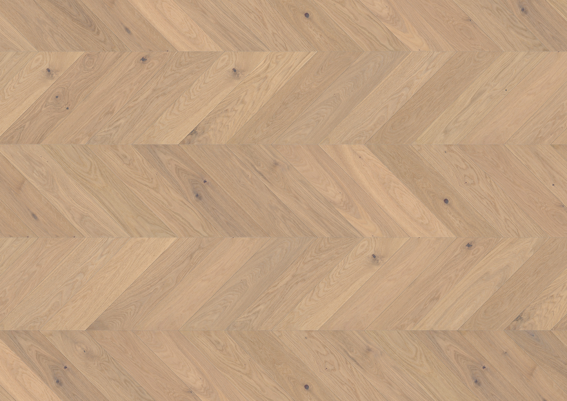 Ter Hürne prantsuse kalasabaparkett Chevron õlitatud harjatud