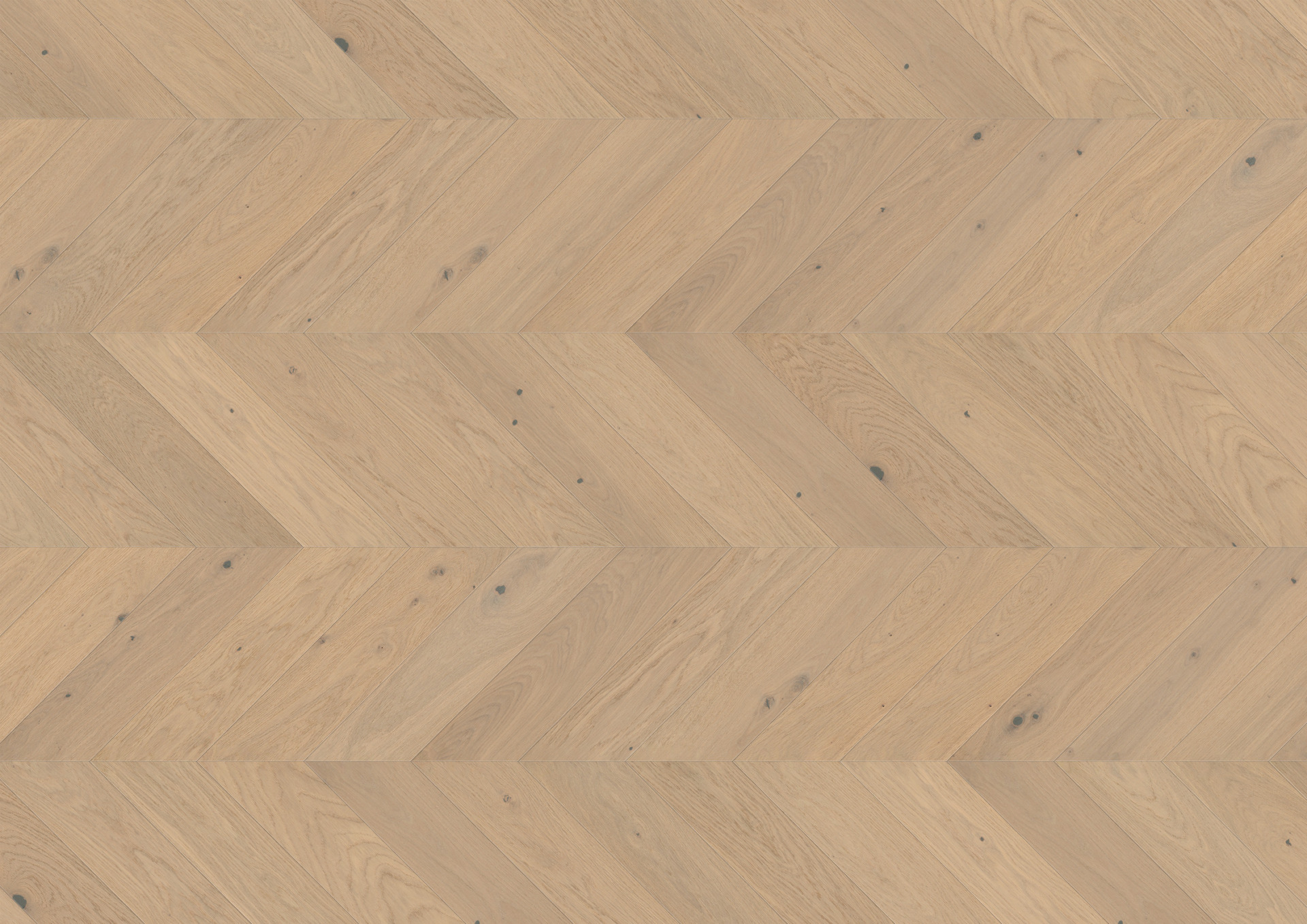 Ter Hürne prantsuse kalasabaparkett Chevron õlitatud harjatud