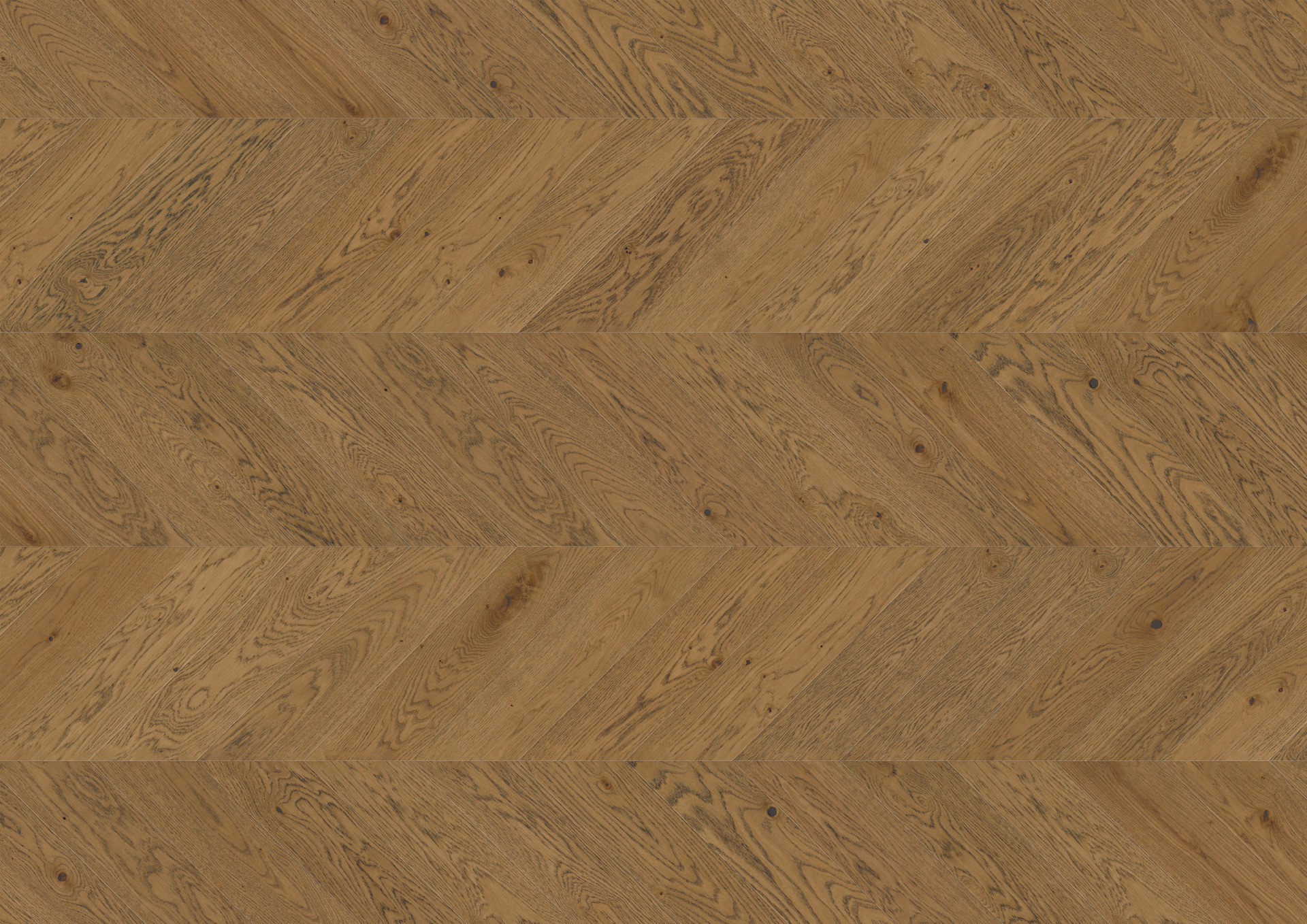 Ter Hürne prantsuse kalasabaparkett Chevron õlitatud harjatud