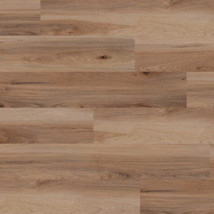 Ter Hürne LVT Nashville