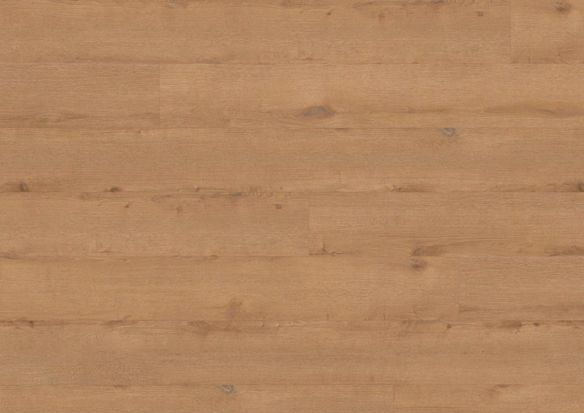 LVT Tamm Hamburg - Image 2