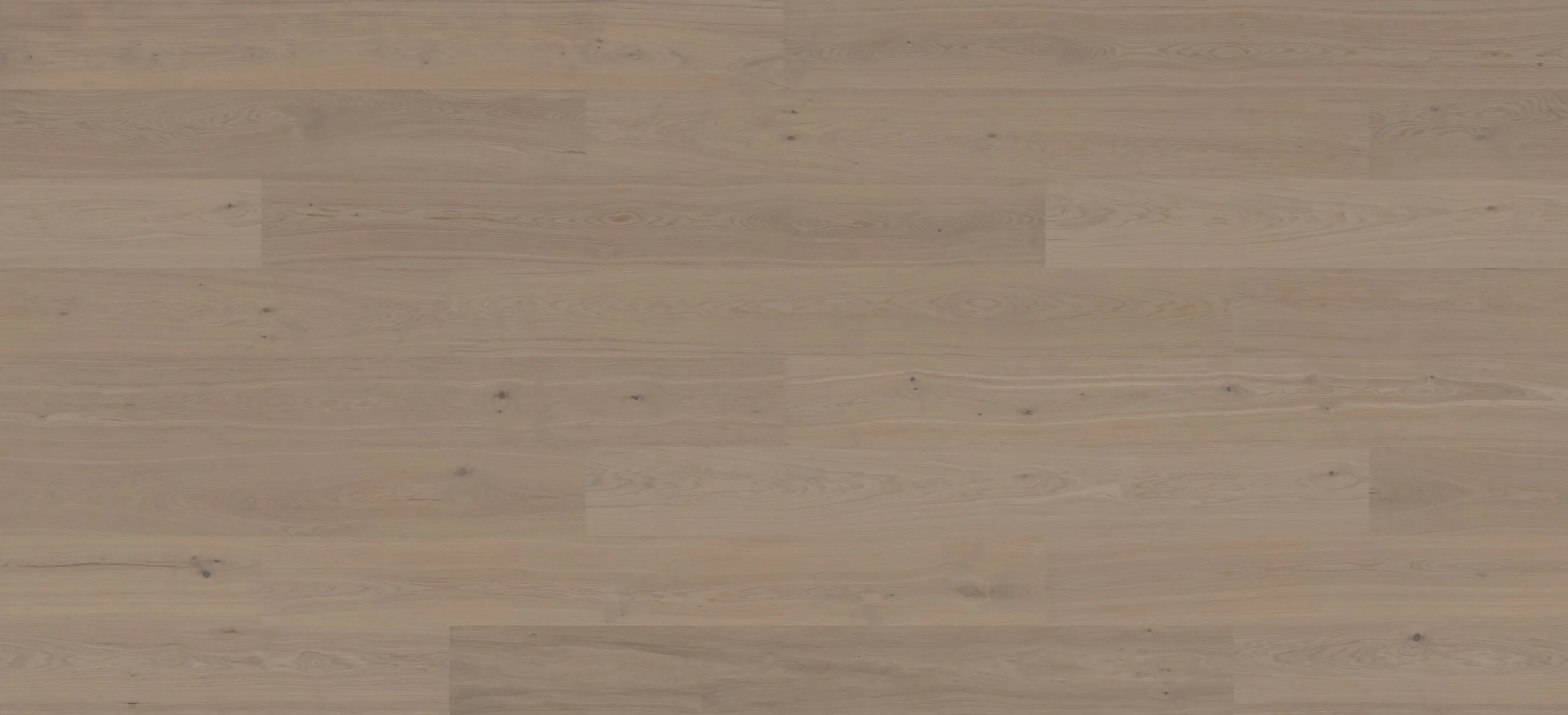Kõvendatud parkett Tamm STEHAG XXL , natur, earth grey, matt lakk - Image 2