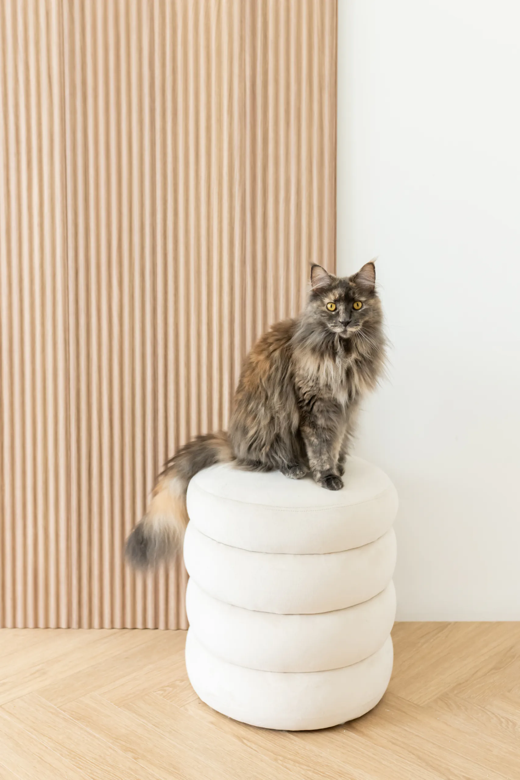 laineline paneel tamm