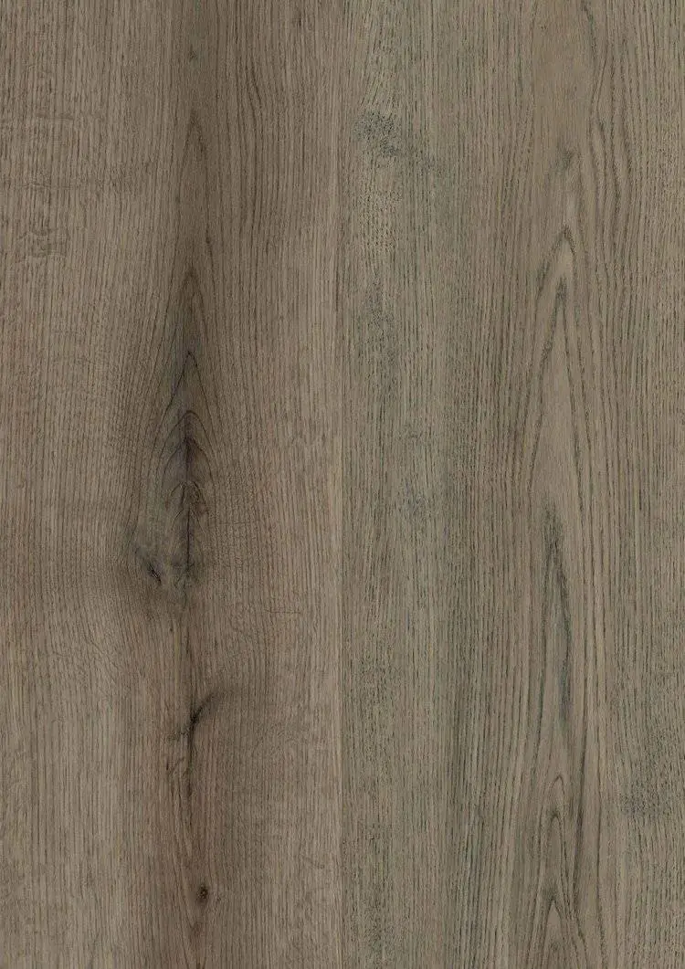 Bjelin SPC Premium Canton smoked grey