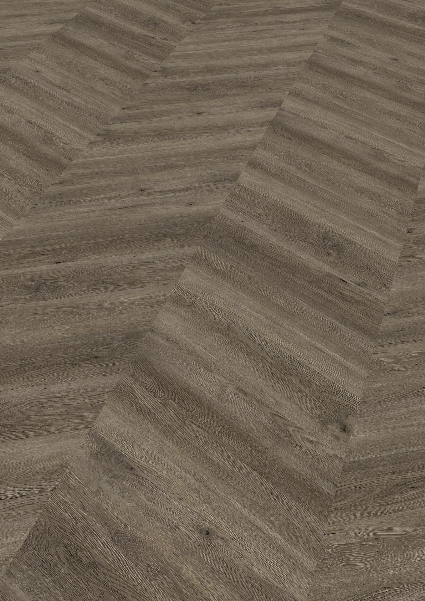 LVT prantsuse kalasaba Chevron tamm Canberra