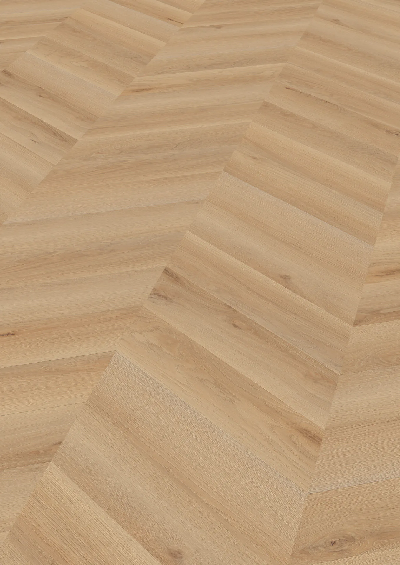 LVT prantsuse kalasaba Chevron tamm Rotterdam