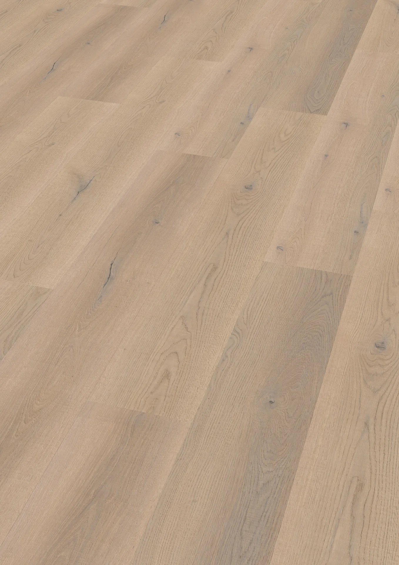 Ter Hürne LVT Nashville