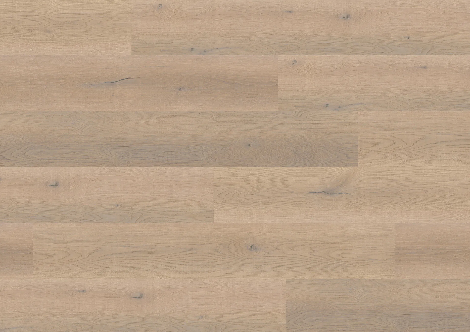 Ter Hürne LVT Nashville