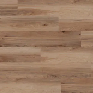 Ter Hürne LVT Nashville