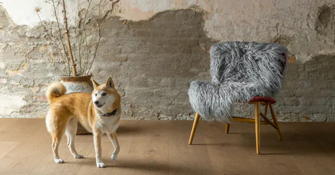 kõvendatud laudparkett-cat